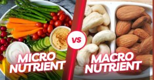 macro vs micro nutritents